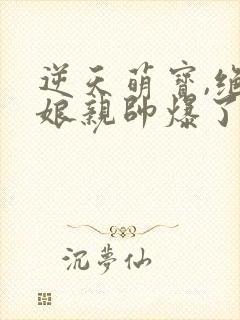 逆天萌宝,绝世娘亲帅爆了全集