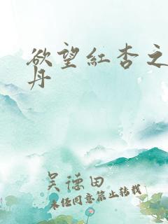 欲望红杏之张雅丹