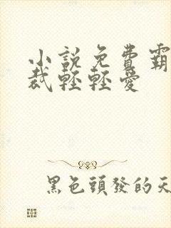 小说免费霸道总裁轻轻爱