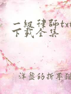 一级律师txt下载全集