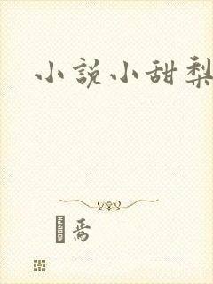 小说小甜梨,