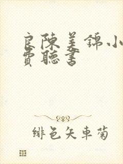 良陈美锦小说免费听书