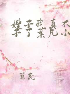 嫂子我真不是傻子了叶凡小说读书阁
