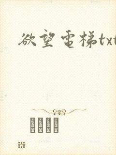 欲望电梯txt