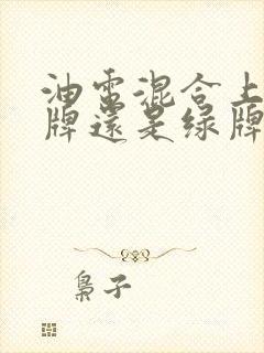 油电混合上的蓝牌还是绿牌