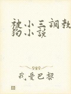 被小三调教成母狗小说