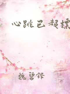 心跳已超标小说