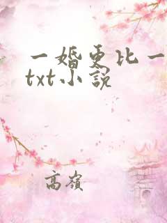 一婚更比一婚高txt小说