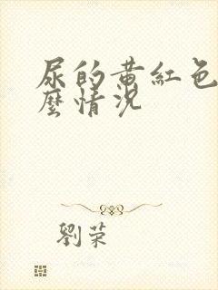 尿的黄红色是什么情况