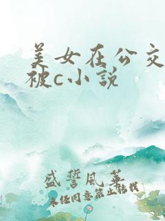 美女在公交车上被c小说