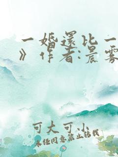 一婚还比一婚高》作者:晨雾的光