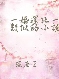一婚还比一婚高类似的小说