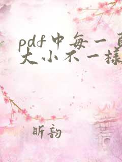 pdf中每一页大小不一样怎么调整