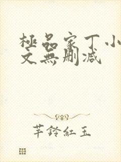 极品家丁小说全文无删减