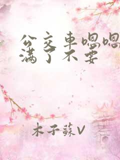 公交车嗯嗯啊啊满了不要