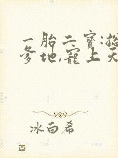 一胎二宝:总裁爹地,宠上天