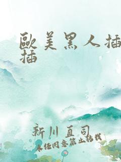 欧美黑人插插插插