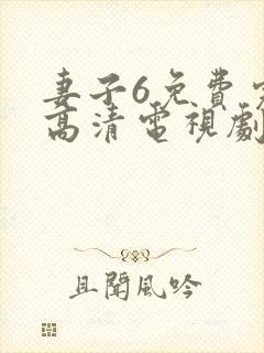 妻子6免费完整高清电视剧