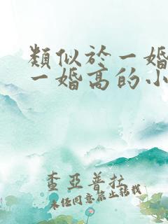 类似于一婚还比一婚高的小说