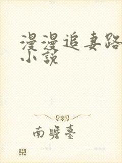 漫漫追妻路在线小说