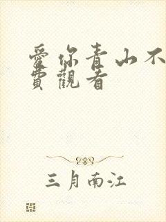爱你青山不语免费观看