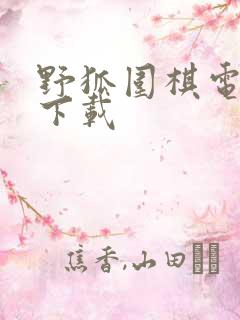 野狐围棋电脑版下载