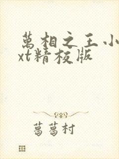 万相之王小说txt精校版