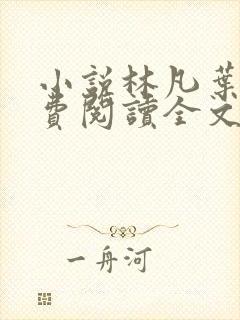 小说林凡叶惜免费阅读全文