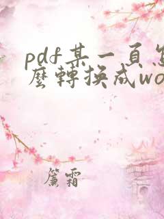 pdf某一页怎么转换成word