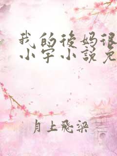 我的后妈很漂亮小宇小说免费阅读