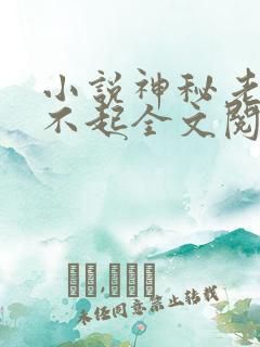 小说神秘老公惹不起全文阅读