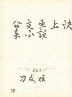 公交车上快插进来小说