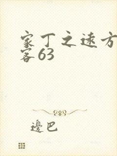 家丁之远方的来客63