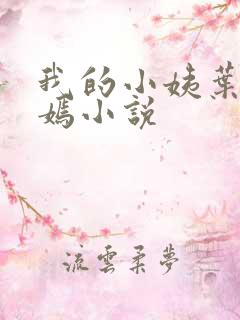 我的小姨叶凡司嫣小说