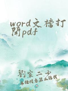 word文档打开pdf