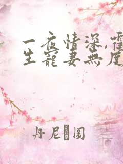 一夜情深,霍先生宠妻无度全本下载