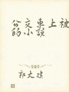 公交车上被侵犯的小说