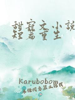 甜宠文小说推荐短篇重生
