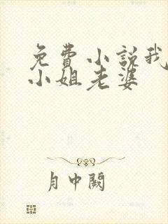 免费小说我的大小姐老婆