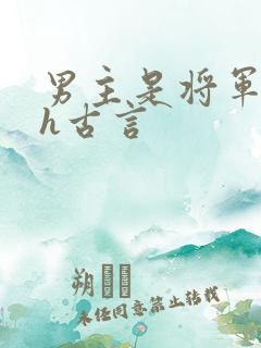 男主是将军的高h古言