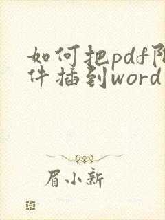 如何把pdf附件插到word里