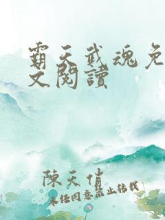霸天武魂免费全文阅读