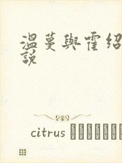 温蔓与霍绍霆小说