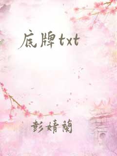 底牌txt
