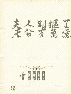 夫人别抠了,你老公有万亿家产