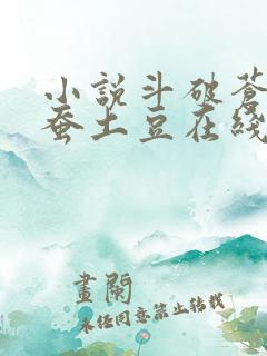 小说斗破苍穹天蚕土豆在线阅读