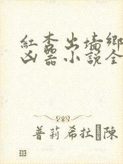 红杏出墙乡村大凶器小说全集小说赵强