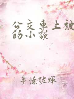 公交车上被插入的小说