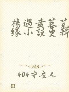 杨过黄蓉荒岛情缘小说更新时间