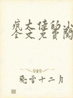 疯大佬的小玩物全文免费阅读小说
